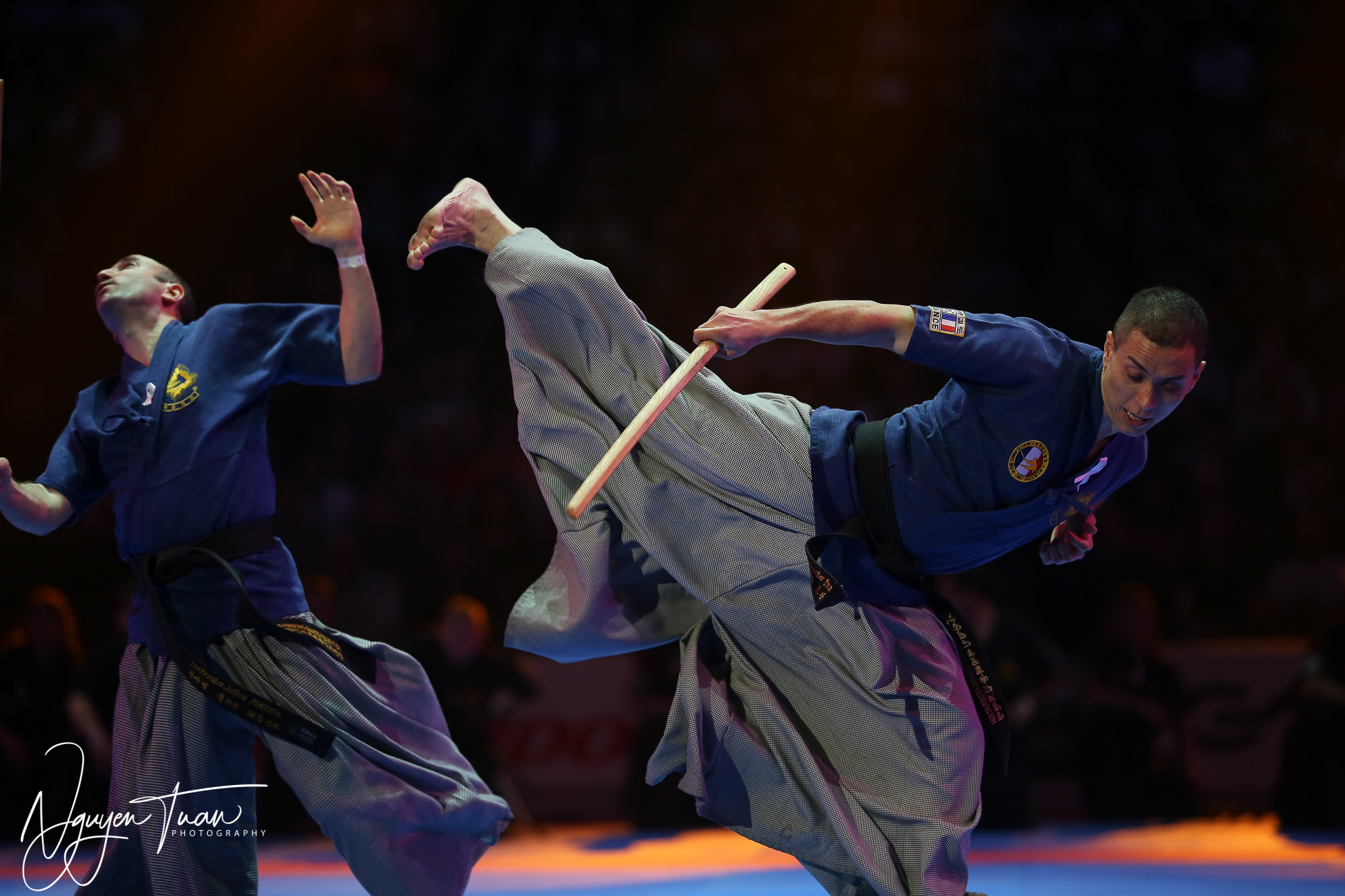 20190324 Festival des Arts Martiaux 3423